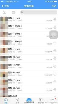 成人红色视频网络,暗流涌动的网络世界
